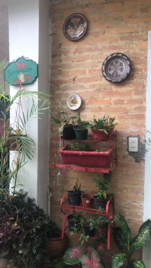 La Petite Maison De Diana Asuncion Buitenkant foto