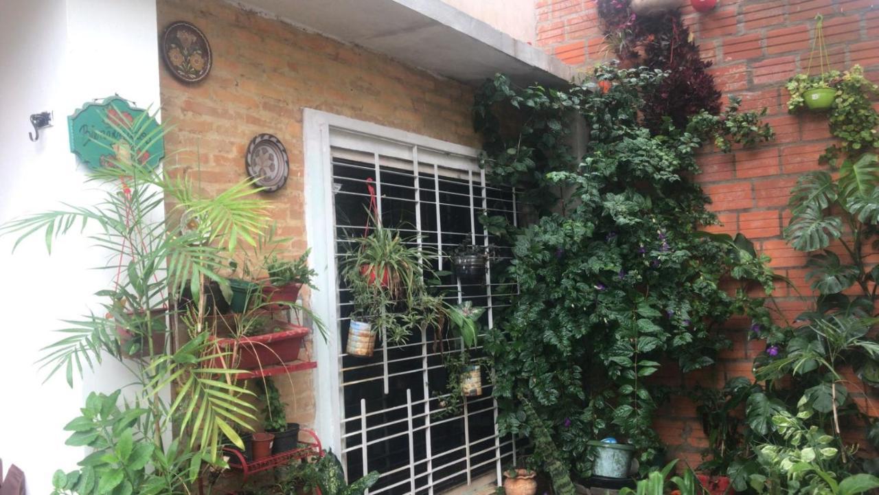La Petite Maison De Diana Asuncion Buitenkant foto