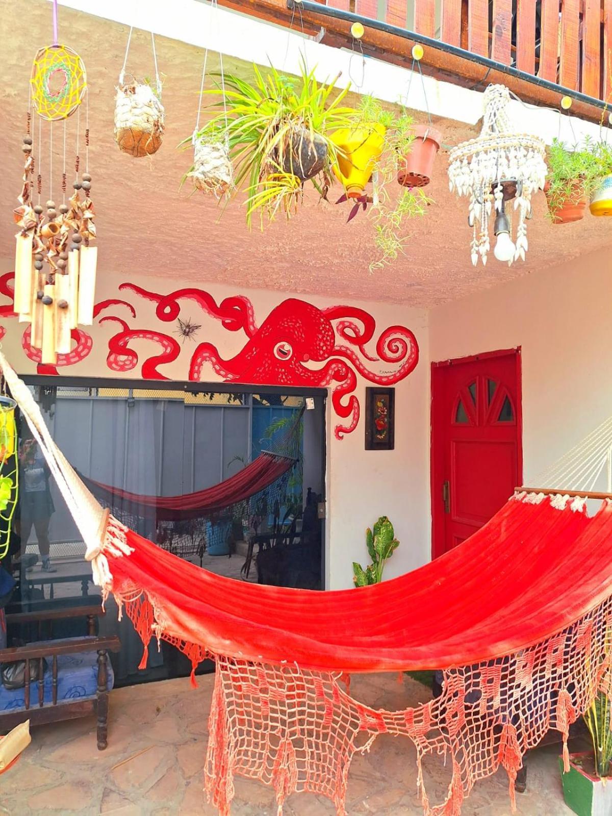 La Petite Maison De Diana Asuncion Buitenkant foto