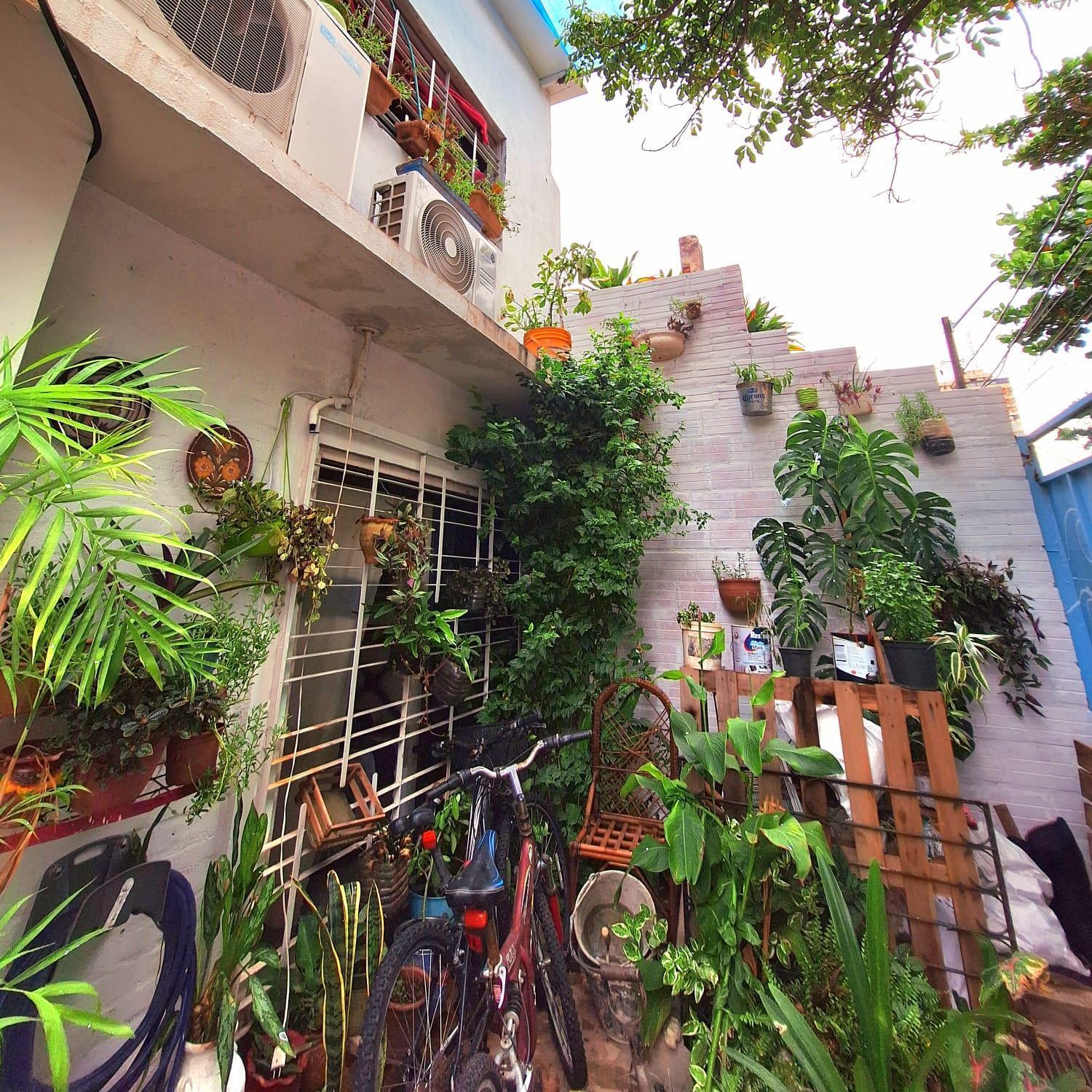 La Petite Maison De Diana Asuncion Buitenkant foto
